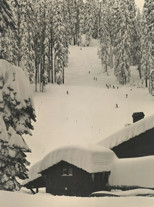 The Ski House at Badger Pass