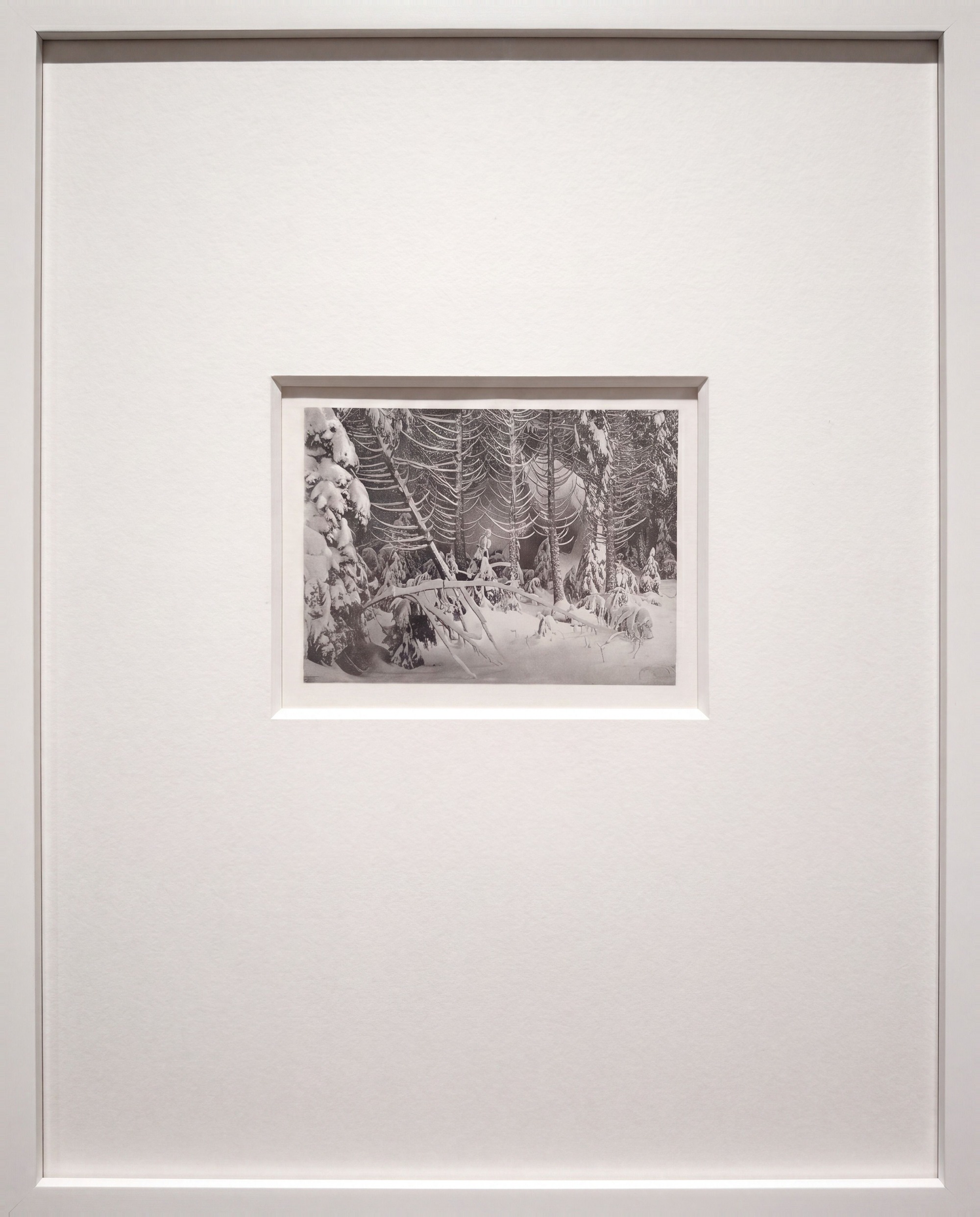 Trees in Snow, Yosemite — framed: a generated view of the matted print in a thin white frame