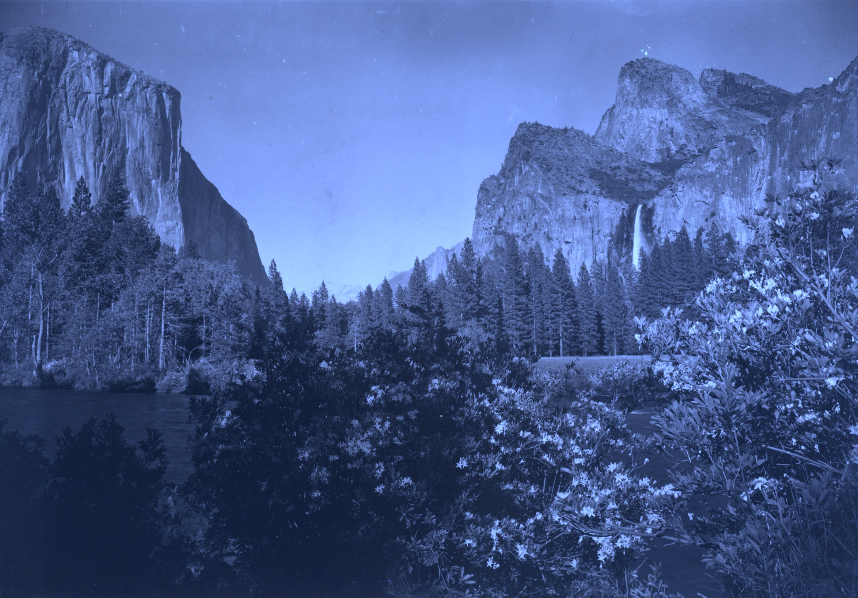 Ultraviolet-induced fluorescence — Yosemite Valley from the Merced